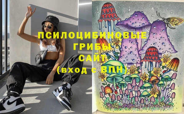 спайс Беломорск