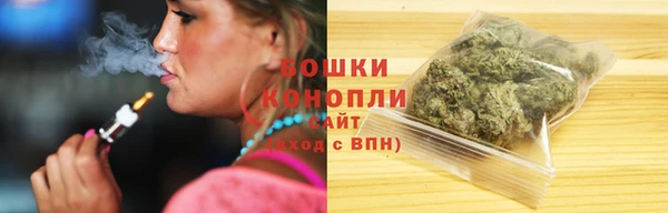 ГАЛЛЮЦИНОГЕННЫЕ ГРИБЫ Сясьстрой