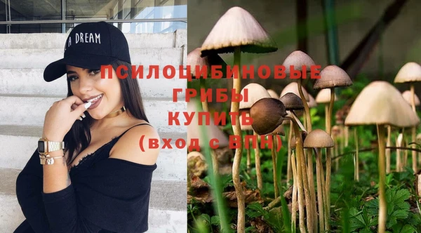 стафф Белокуриха
