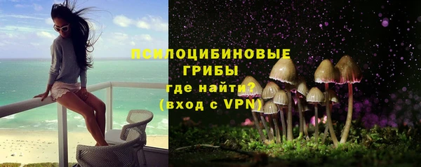 стафф Белокуриха