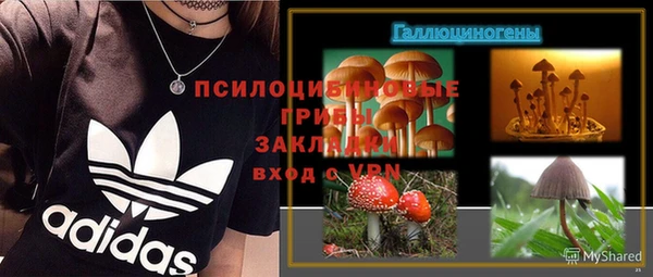 спайс Беломорск